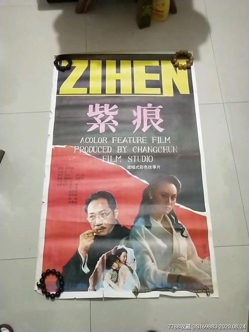 雪城大学物理学文凭证书